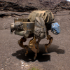 Assistant Dog