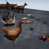 Animal Pack Ultra