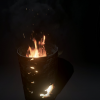 Environmental Fires