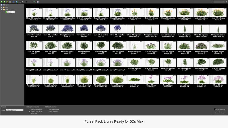 KKVIZ – Pack 09 – Mediterranean Plants 3D Model - Ảnh 3