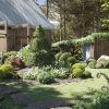 Maxtree – Plant Models Vol. 104