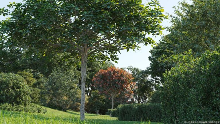 Maxtree – Plant Models Vol. 58