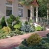 Maxtree – Plant Models Vol. 63