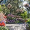 Maxtree – Plant Models Vol. 64