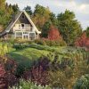 Maxtree – Plant Models Vol. 81