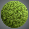 Grass Vol.21 - Hand Painted Textures