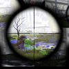 Too Many Crosshairs