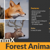 AnimX: Forest Animals