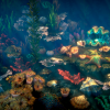 Corals 2