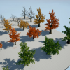 Season's Trees Vol.1