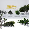 Trees Gen02_02