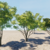 tree library