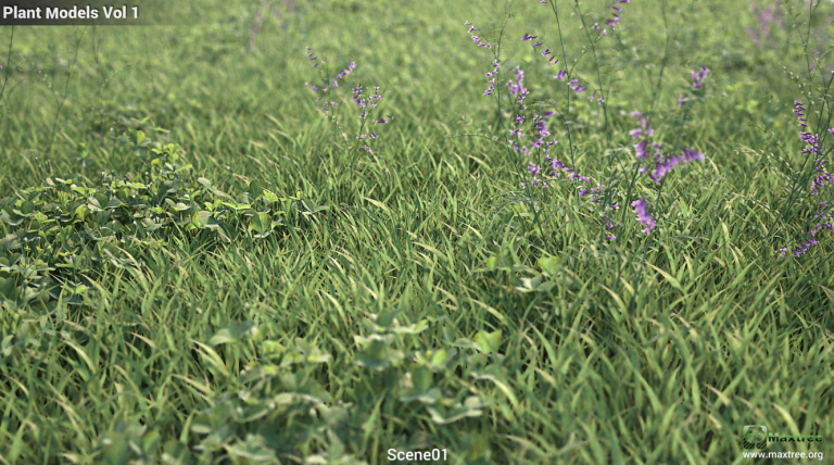 Maxtree – Plant Models Vol. 1