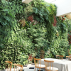 Maxtree – Plant Models Vol. 4