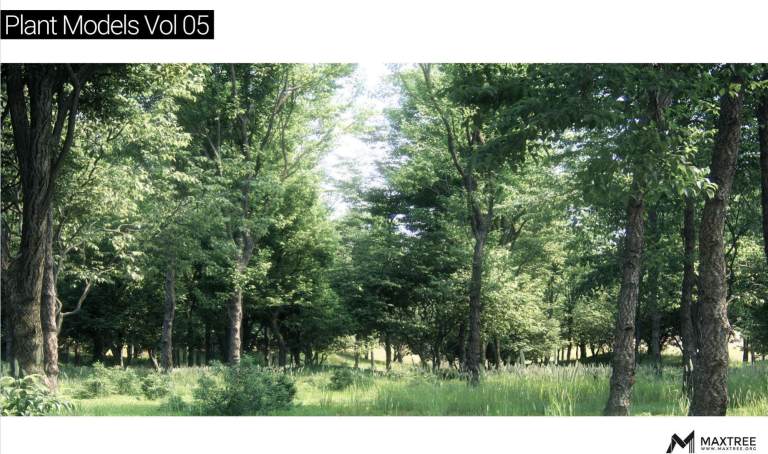 Maxtree – Plant Models Vol. 5
