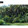 Maxtree – Plant Models Vol. 7