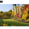 Maxtree – Plant Models Vol. 8