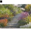 Maxtree – Plant Models Vol. 9
