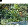 Maxtree – Plant Models Vol. 10 NEW