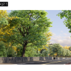 Maxtree – Plant Models Vol. 11