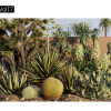 Maxtree – Plant Models Vol. 17