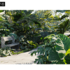 Maxtree – Plant Models Vol. 18