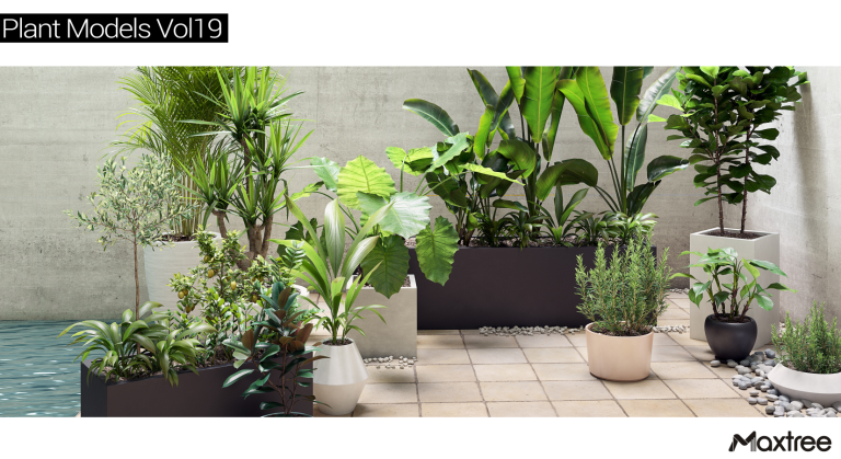Maxtree – Plant Models Vol. 19