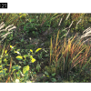 Maxtree – Plant Models Vol. 21