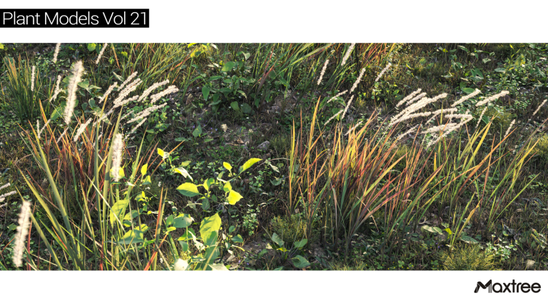 Maxtree – Plant Models Vol. 21