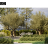 Maxtree – Plant Models Vol. 23