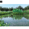 Maxtree – Plant Models Vol. 29