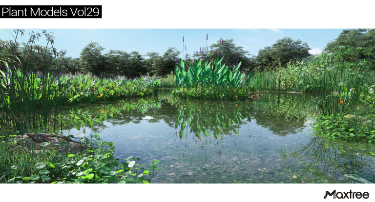 Maxtree – Plant Models Vol. 29