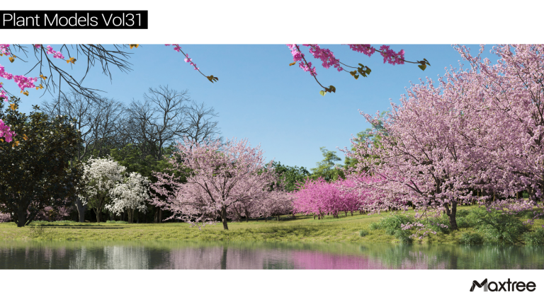 Maxtree – Plant Models Vol. 31
