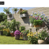 Maxtree – Plant Models Vol. 34