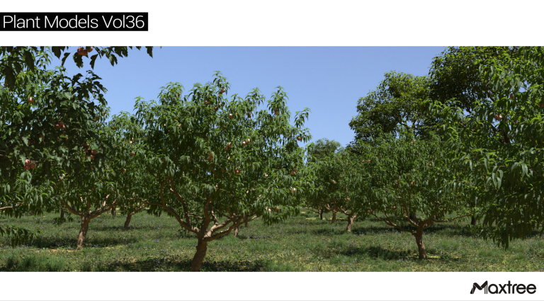 Maxtree – Plant Models Vol. 36