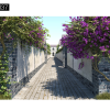 Maxtree – Plant Models Vol. 37
