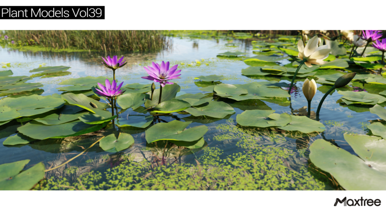 Maxtree – Plant Models Vol. 39