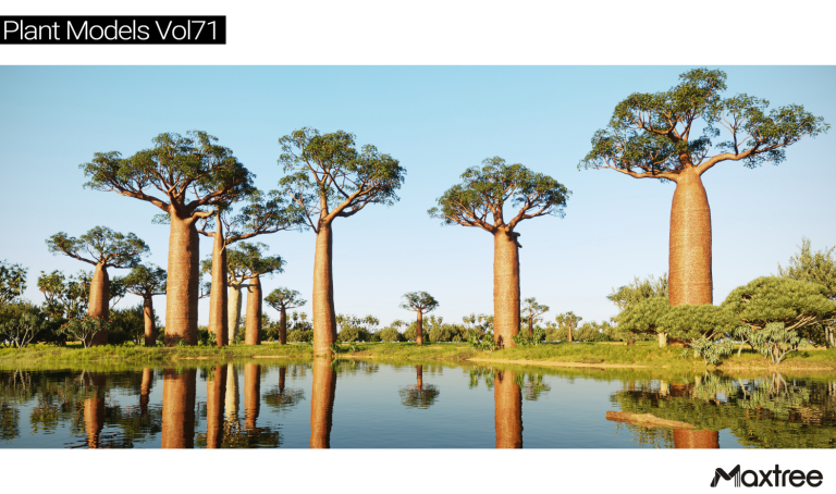 Maxtree – Plant Models Vol. 41 Version 1.0