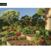 Maxtree – Plant Models Vol. 44