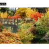 Maxtree – Plant Models Vol. 45