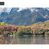 Maxtree – Plant Models Vol. 48