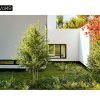 Maxtree – Plant Models Vol. 49