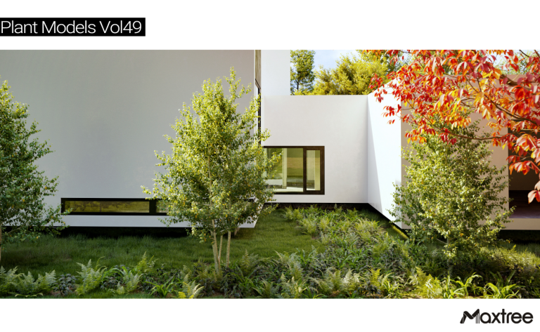 Maxtree – Plant Models Vol. 49