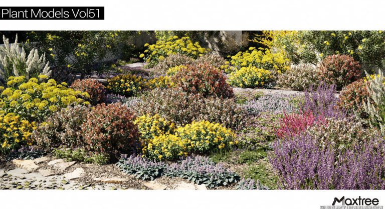 Maxtree – Plant Models Vol. 51
