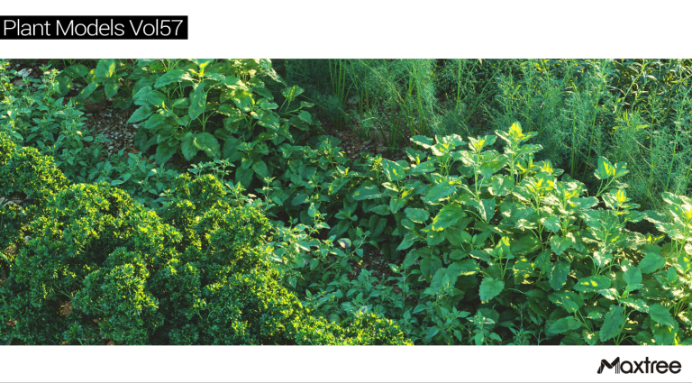 Maxtree – Plant Models Vol. 57