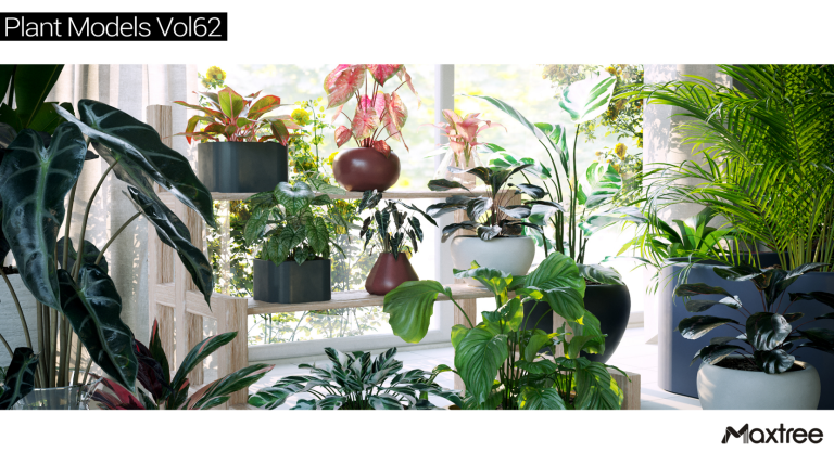 Maxtree – Plant Models Vol. 62