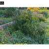 Maxtree – Plant Models Vol. 65
