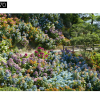 Maxtree – Plant Models Vol. 70