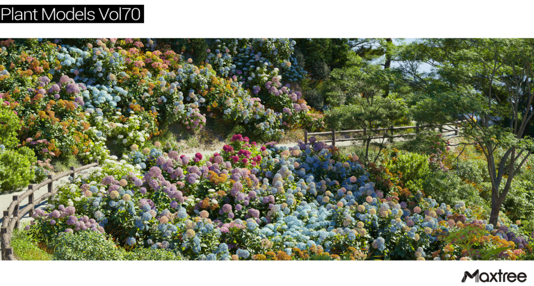 Maxtree – Plant Models Vol. 70