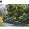 Maxtree – Plant Models Vol. 76